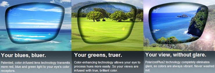 Maui jim ht lens cheap