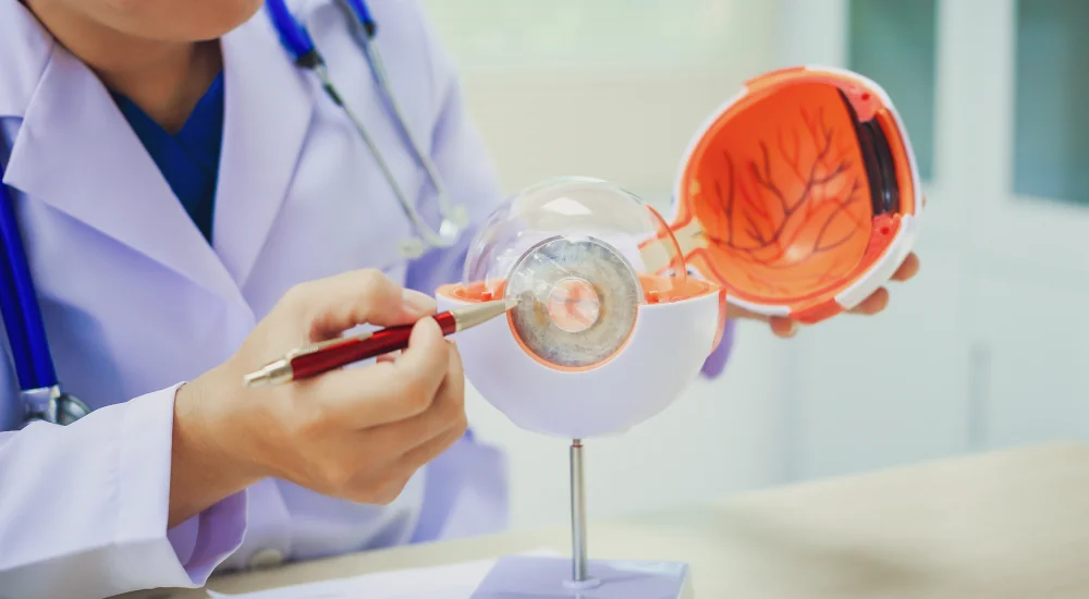 Diabetic Eye Exams & Retinal Evaluations